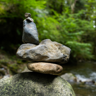 boite à outils - formation bain de forêt