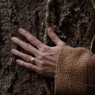 arbre + main - formation bain de forêt