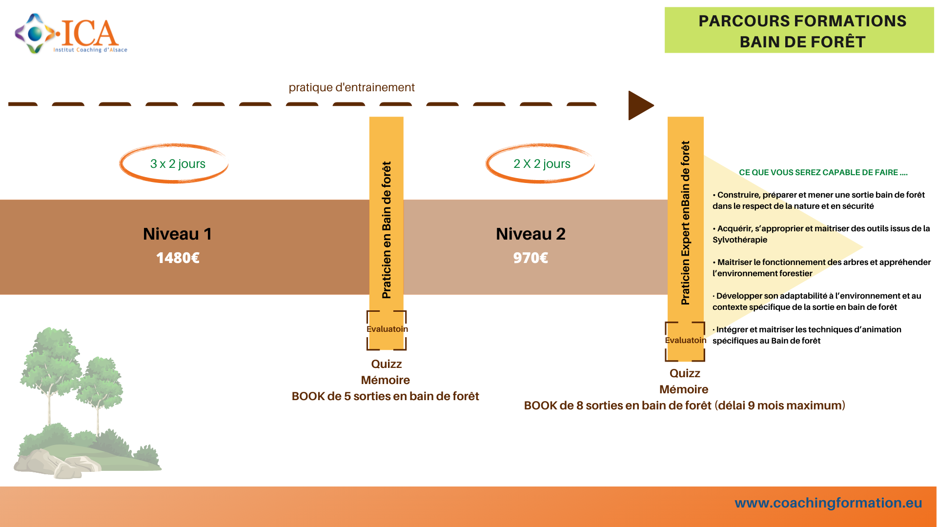 Programme Praticien Bain de forêt - Formation bain de forêt