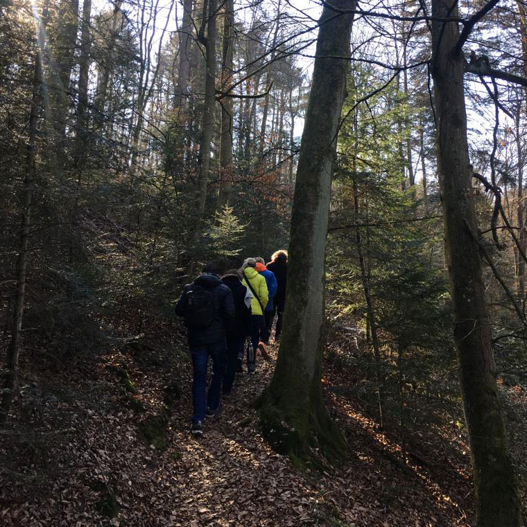 Avenue 1 - Formation bain de forêt