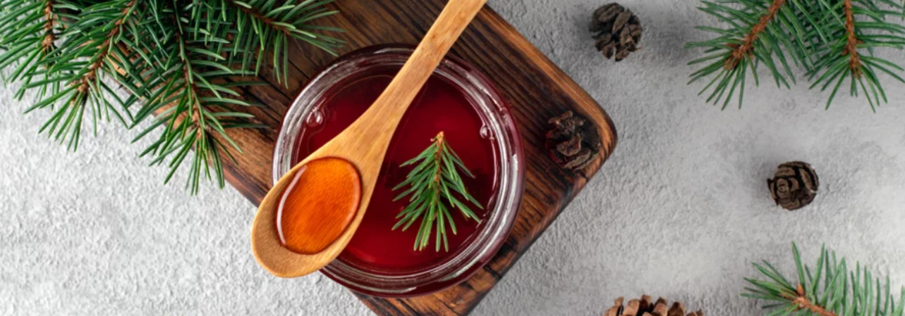 Recette sirop de pin